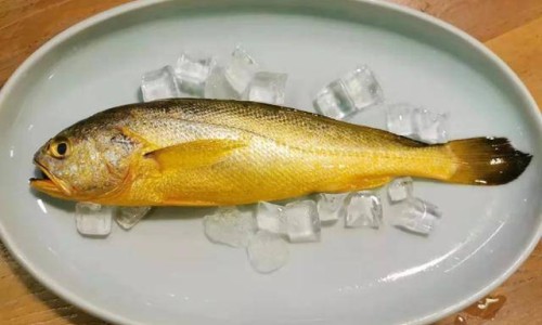 黄鱼的营养价值及功效有哪些