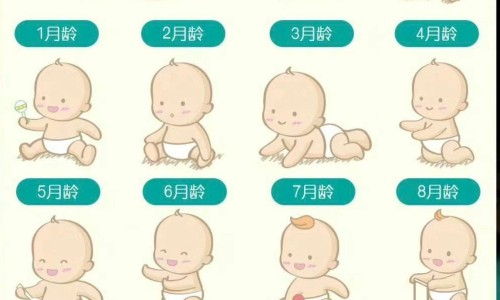 皮渣学名-皮渣的营养价值网- 皮渣的功效与作用知识,分享皮渣有什么营养